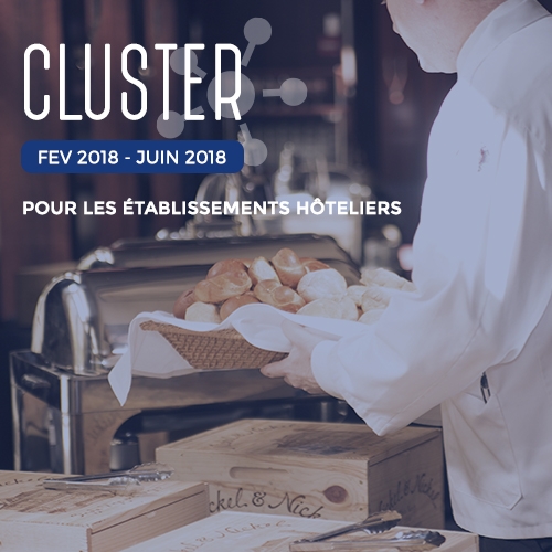 cluster-ads-hotellerie